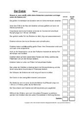 Eisbär-Quiz-Seite-1.pdf